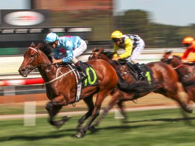 The second annual 2-day Canberra Carnival encompasses John McGrath Auto Group Black Opal Stakes Day and TAB Canberra Cup...