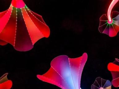 The Winter Lights festival is back and it's bigger and brighter than ever!