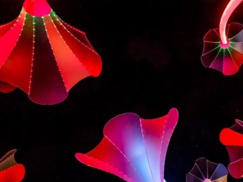 2022 Winter Lights Festival | What's on in Perth