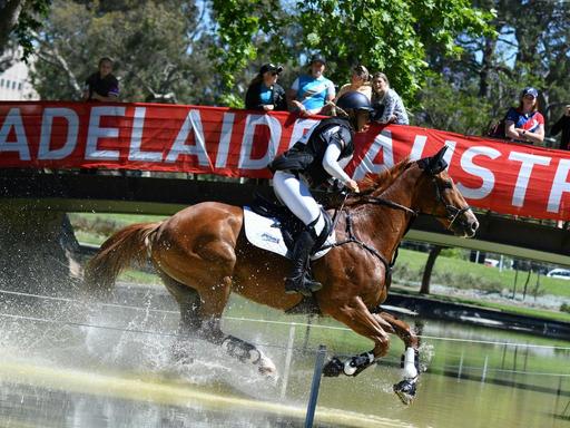 After the success of the 2023 Adelaide Equestrian Festival we can't wait to bring you more great competition, horse disp...