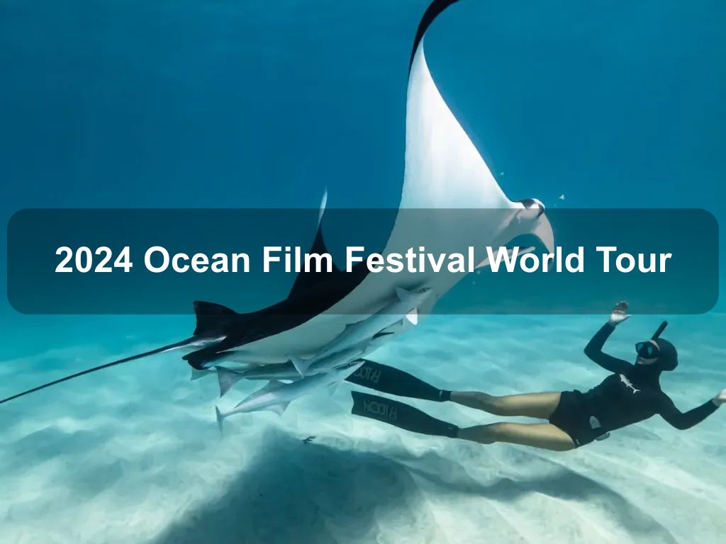 2024 Ocean Film Festival World Tour | Events Canberra | Canberra