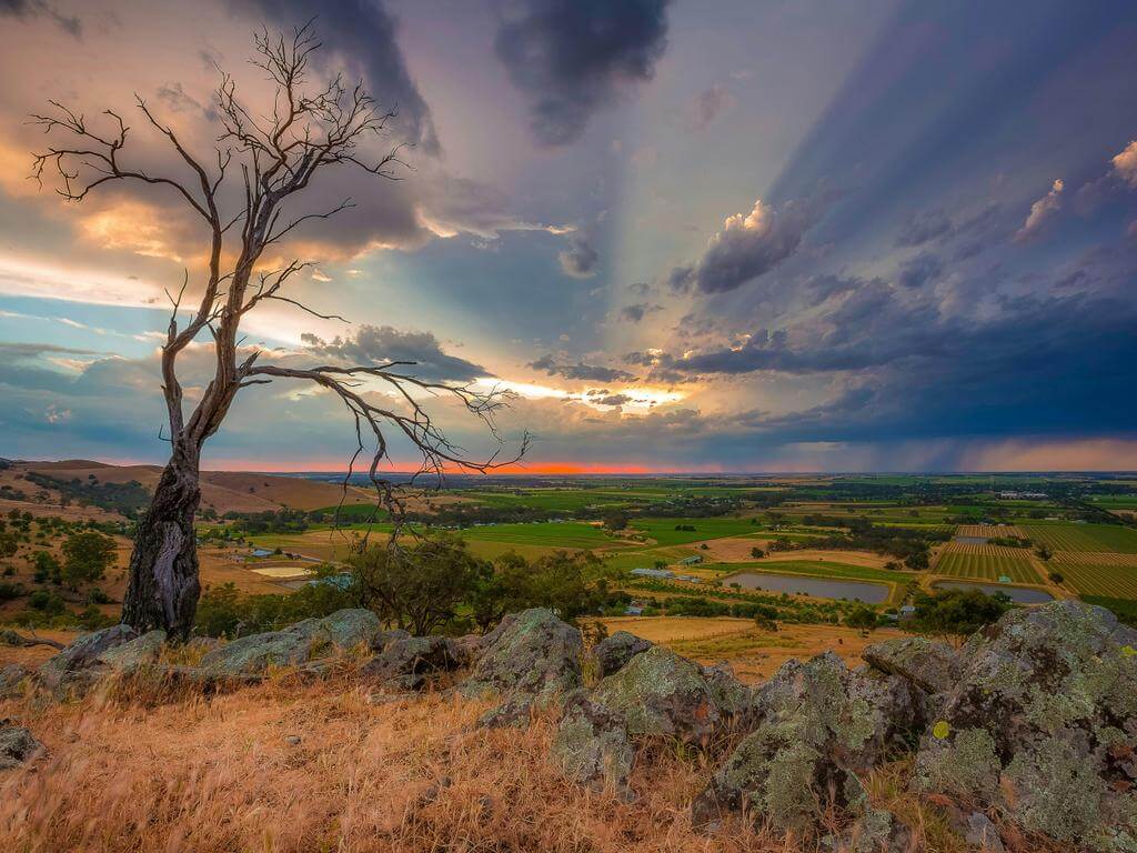 2025 Barossa Photographic Calendar SALA Exhibition 2024 | What's on in Tanunda