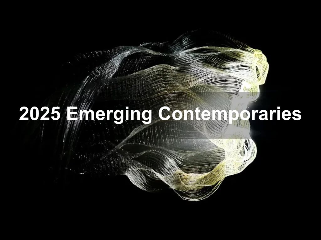 2025 Emerging Contemporaries | Events Canberra | What's on in Canberra