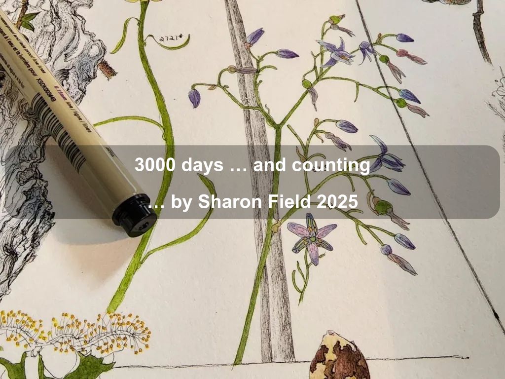 3000 days … and counting …  by Sharon Field 2025 | What's on in Belconnen