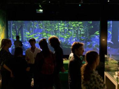 The South Australian Museum will become a forest that never sleeps when its summer exhibition GONDWANA VR: The Exhibition opens for 48 continuous hours in an epic weekend as part of the 2024 Adelaide Festival program.