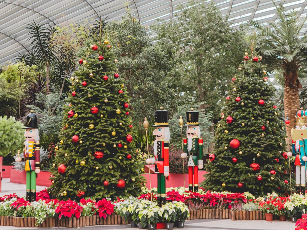 5 Things to Do This Dec Holiday Season in Sydney 2020 | UpNext