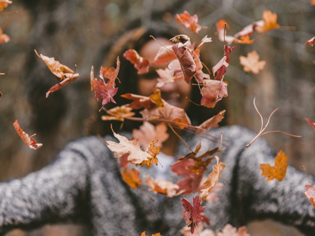6 Things to do during Autumn | UpNext