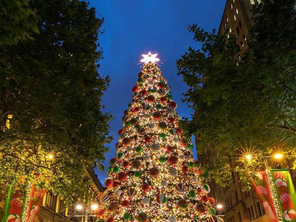 8 Things to Do This Christmas in Sydney 2021 | UpNext