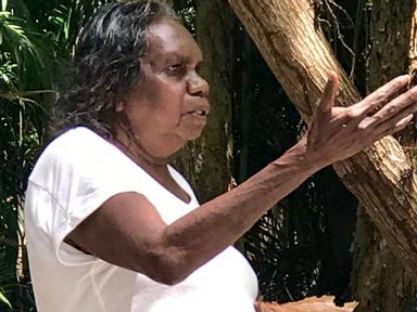 Elder Djapirri Mununggirritj from North East Arnhem Land, Australia, is known for her wonderful commitment to community,...