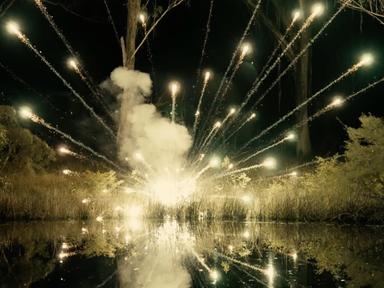 The spectacle of the firework celebrates and commemorates, marking time and occasion.A great shock of brilliant hairs th...