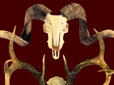 A Lie of the Mind follows two families, brought together by the marriage of Jake and Beth, and the resulting disconnect ...