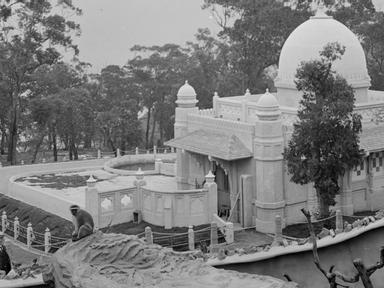 A Tale of Two Zoos explores the story of Sydney's first public zoo, at Moore Park (1884-1916), and the creation of Taron...