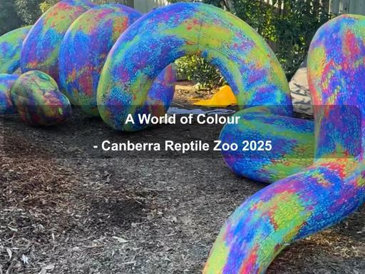 Have you ever stood before an eight-metre rainbow serpent? Not many have, it may only be a statue but the real rainbow serpent is not far away
