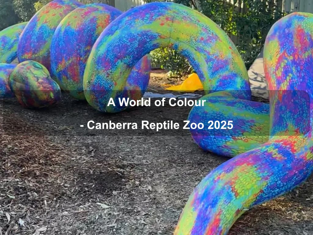 A World of Colour - Canberra Reptile Zoo 2025 | What's on in Nicholls
