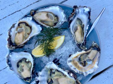 Do you like Oysters? Do you know why are they important? Oysters are part of our heritage and have been an important nat...