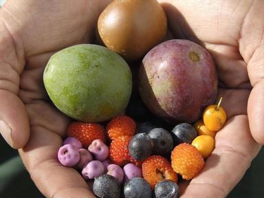 Walk with your First Nations guide through the Royal Botanic Garden Sydney and learn more about Indigenous bush foods- h...