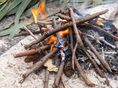 Join this free series of inspiring talks with Gadigal custodian, Elder and cultural educator and knowledge custodian Unc...