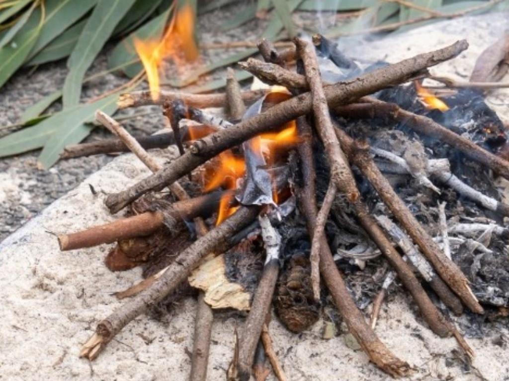 Aboriginal cultural talks: Sky, Land & Waters 2025 | What's on in Glebe Aboriginal cultural talks: Sky, Land & Waters 2025 | What's on in Glebe