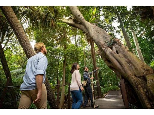 Discover how the Royal Botanic Gardens Melbourne is a significant cultural site for the local Kulin Nation, with a First... Discover how the Royal Botanic Gardens Melbourne is a significant cultural site for the local Kulin Nation, with a First...