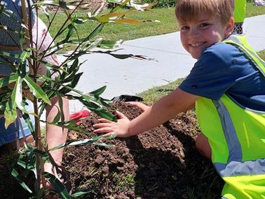 You're invited to help plant street trees to beautify your suburb as part of Brisbane City Council's Greener Suburbs pro...