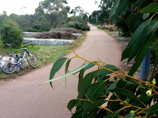 Join an Adelaide Parklands Tour Guide for a guided walk exploring the nature, history and heritage of one Park within th... Join an Adelaide Parklands Tour Guide for a guided walk exploring the nature, history and heritage of one Park within th...