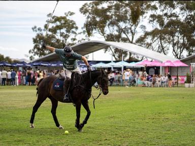 This is fast paced, exhilarating, 20/20 style polo set against the backdrop of South Australia's most recognisable and applauded wine & food regions