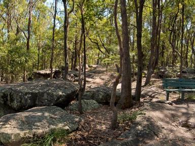Join Brisbane City Council's Environment Centres staff on an engaging guided walk through Toohey Forest Park. Take time ...