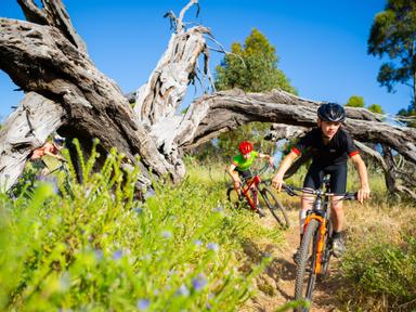 The After School MTB Skills program runs each term for approximately 7 - 9 weeks depending on term length. Groups will b...