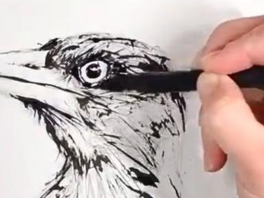 Held on Monday afternoons, this course is designed for adults of all skill levels looking to explore the art of wildlife... Held on Monday afternoons, this course is designed for adults of all skill levels looking to explore the art of wildlife...