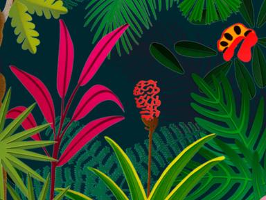 Step inside this immersive, sensory exhibition featuring spectacular rare and unusual tropical and subtropical rainfores...