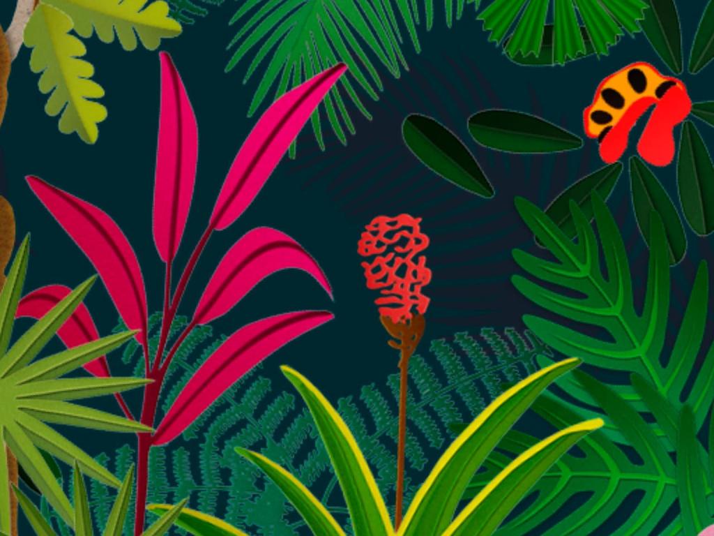 Alchemy of a Rainforest exhibition 2024 | What's on in Sydney