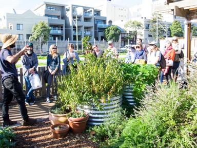 Keen to save water and make sure your plants or veggies are getting the water they deserve- even if you are out of town ...