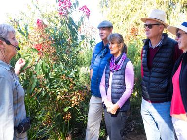 Celebrate International Women's Day on 8 March by joining free guided walks. Learn about some of the pioneering female r...