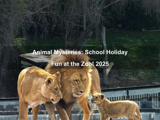 Visitors to the National Zoo and Aquarium can enjoy a school holiday filled with discovery and adventure