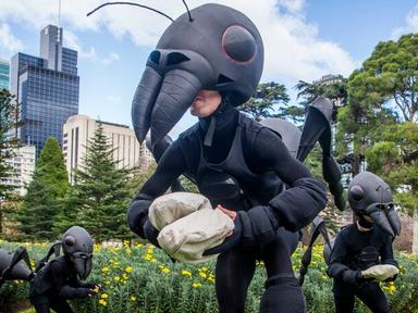 A colony of giant ants has moved into Southbank. As the ants get to work in their new home- kids and families will be ir...