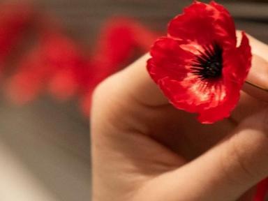 Each year on 25 April, Australians gather at dawn to commemorate Anzac Day and remember those who have served in all war...
