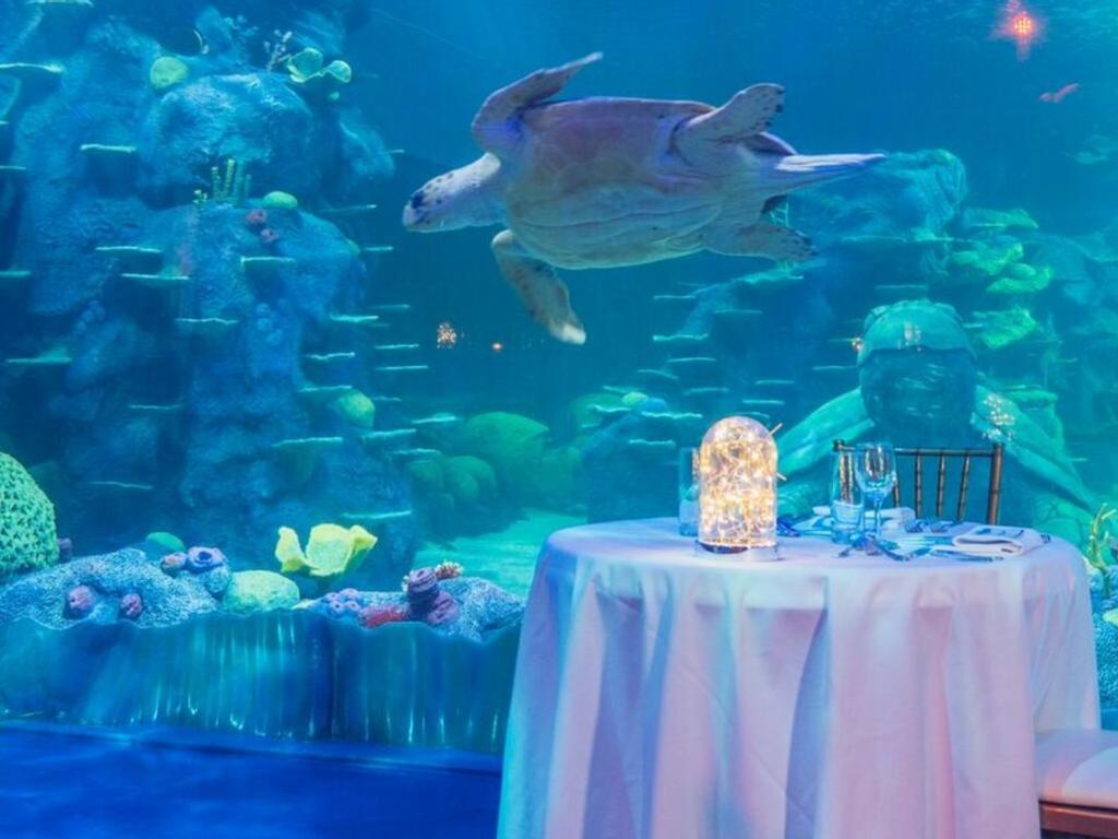 Aquarium private dining 2021 | What's on in Sydney