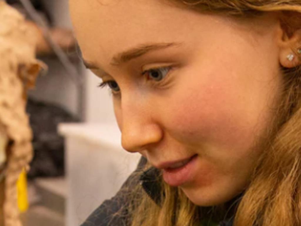 Art Club Intensive Sculpture - The Enchanted Menagerie 2026 | What's on in Darlinghurst