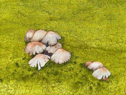 Art exhibition 'Down to earth - Rock, Fungi, Terra Firma' opens at Red Poles Gallery. The mixed media exhibition feature... Art exhibition 'Down to earth - Rock, Fungi, Terra Firma' opens at Red Poles Gallery. The mixed media exhibition feature...