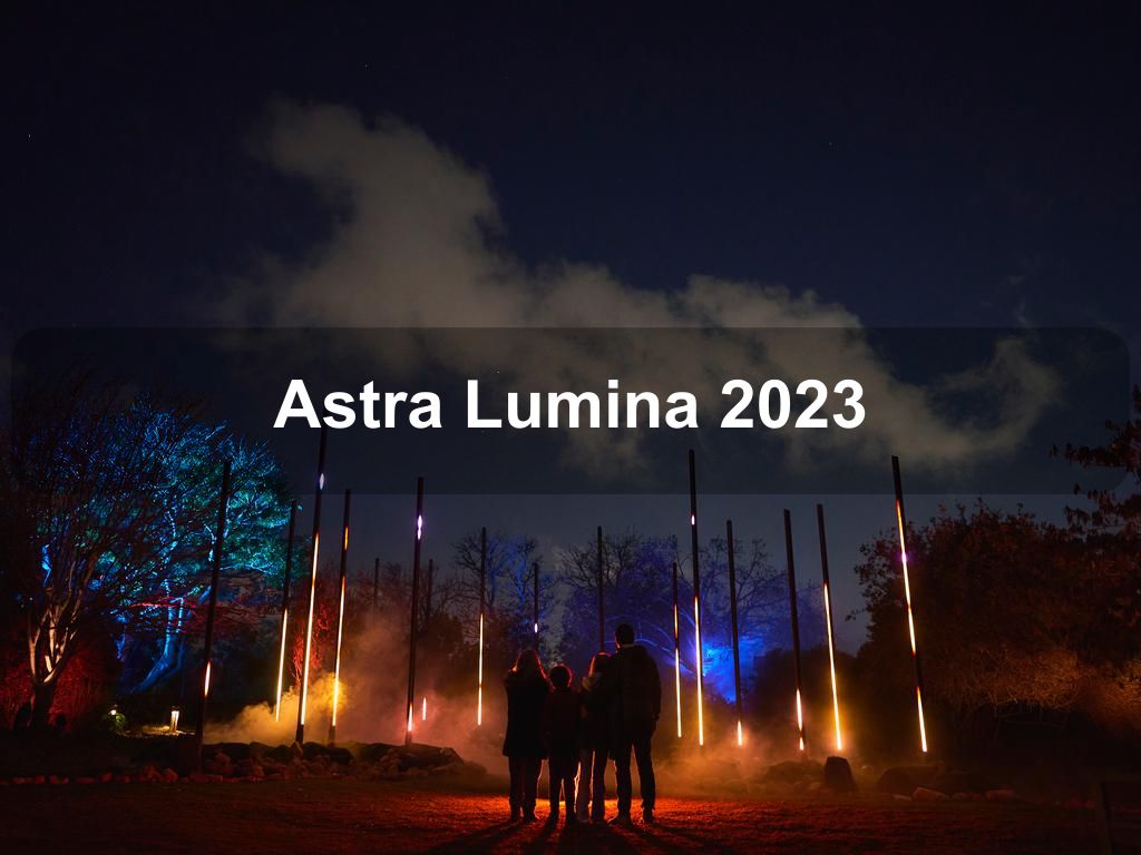 Astra Lumina 2023 | Queens Ny