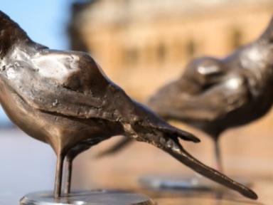 The City of Sydney is pleased to offer the City Art Free Public Art Walking Tour: Hidden in Plain Sight in Auslan- led b...