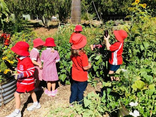 Join Watervale Primary School in celebrating their Inaugural Autumn Fair! Tour the school gardens and receive a handmade...
