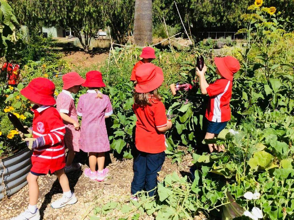 Autumn Fair in the Watervale Primary School Garden 2024 | What's on in Watervale