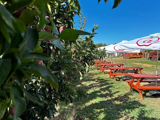 Visit the Adelaide Hills this Autumn school holidays and pick your own fruit. @Lenswood has 9,500 apple trees and variou...