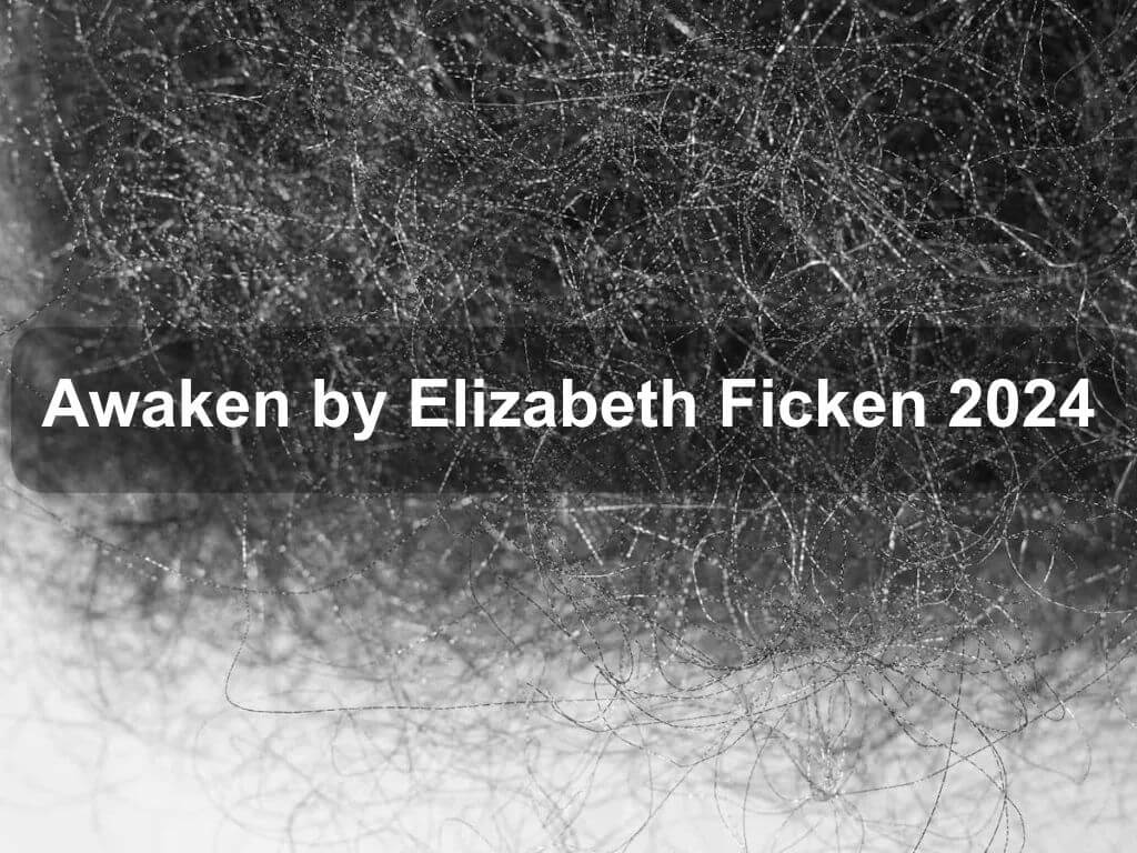 Awaken by Elizabeth Ficken 2024 | What's on in Belconnen