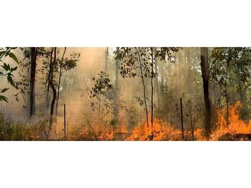 Are you ready for bushfire season? Join us for a free interactive half-day workshop where you'll learn about getting rea...