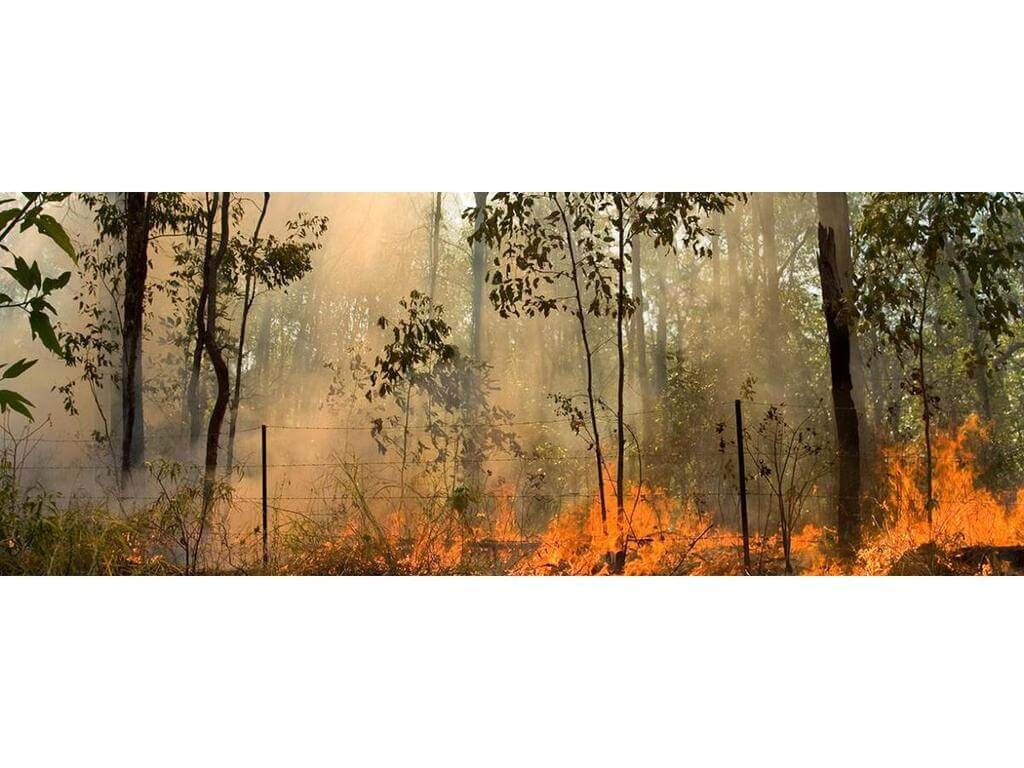 Backing onto bush - A bushfire awareness workshop 2024 | Chapel Hill