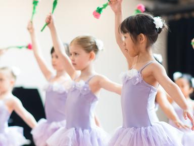 Pre-Primary and Primary in Dance follow the RAD (Royal Academy of Dance) syllabus and are progressions from preschool ba...