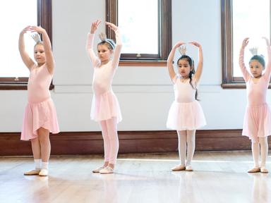 Pre-Primary and Primary in Dance follow the RAD (Royal Academy of Dance) syllabus and are progressions from preschool ba...