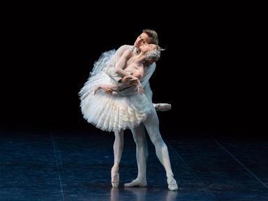 The biggest ballet gala in the Southern hemisphere, the Ballet International Gala (BIG), will return to Brisbane at the Concert Hall.